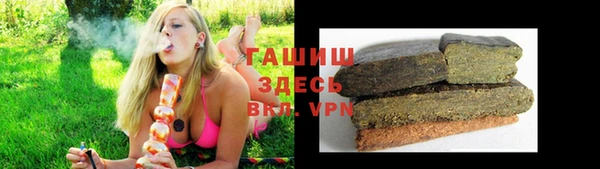 прущие грибы Баксан