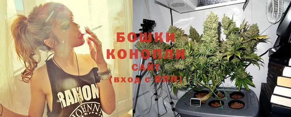 PSILOCYBIN Армянск