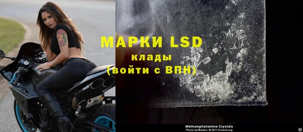 прущие грибы Баксан