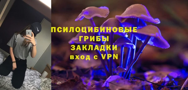 прущие грибы Баксан