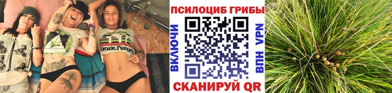 Галлюциногенные грибы Cubensis  Сафоново 